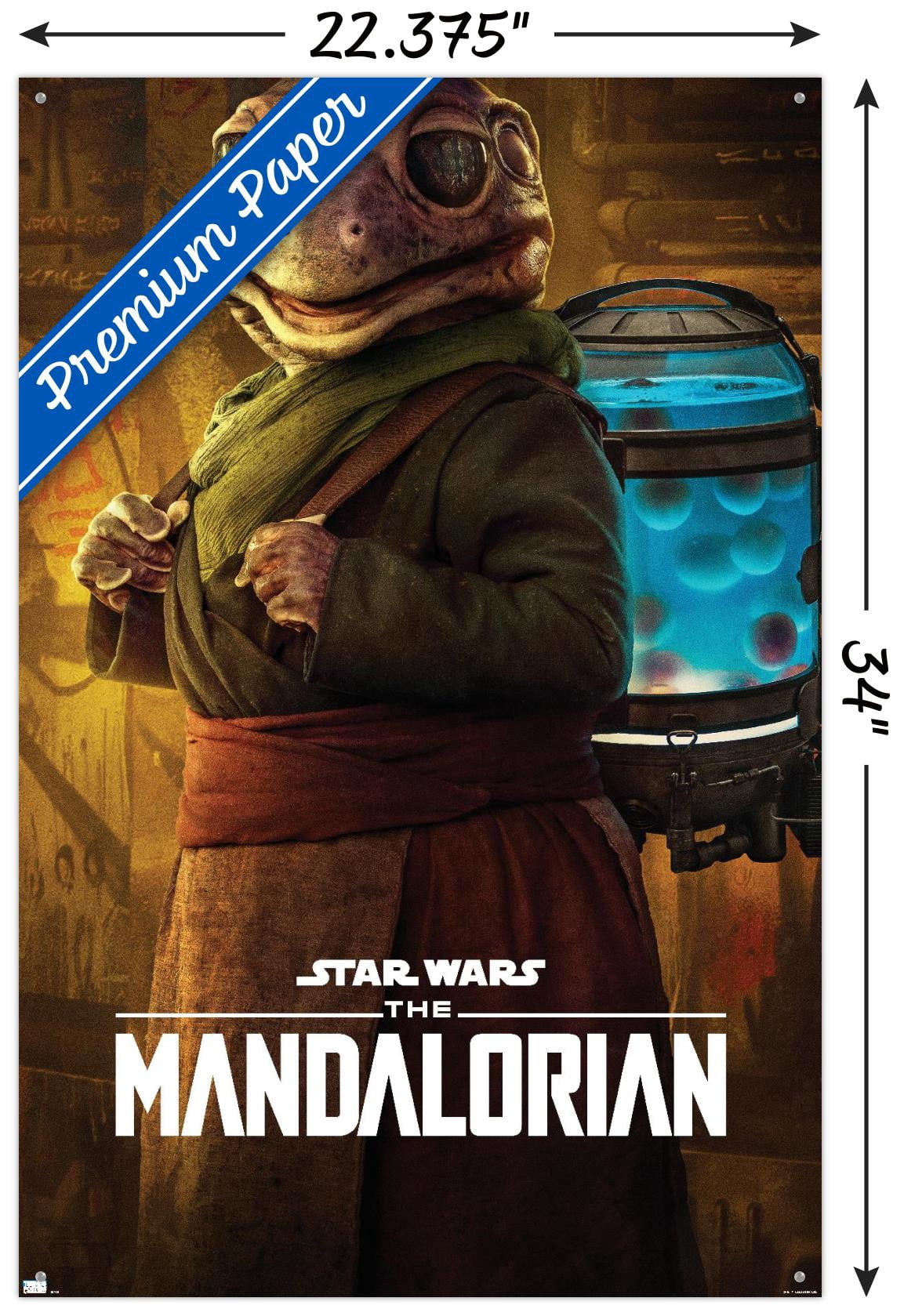 Star Wars: The Mandalorian Season 2 - Frog Lady Wall Poster with Pushpins, 22.375" x 34"