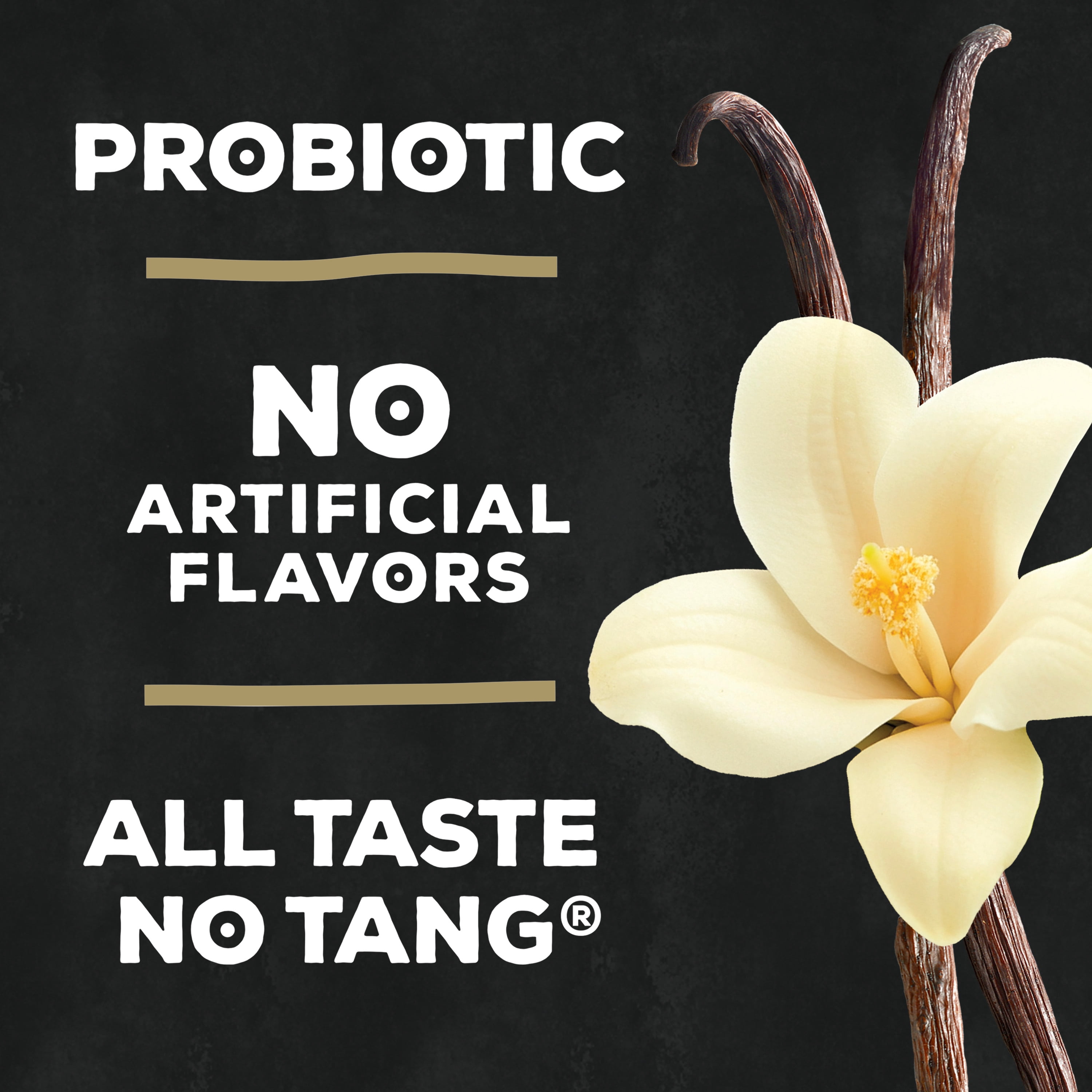 The Greek Gods Greek Style Yogurt, Probiotic Yogurt, Honey Vanilla, 32 oz