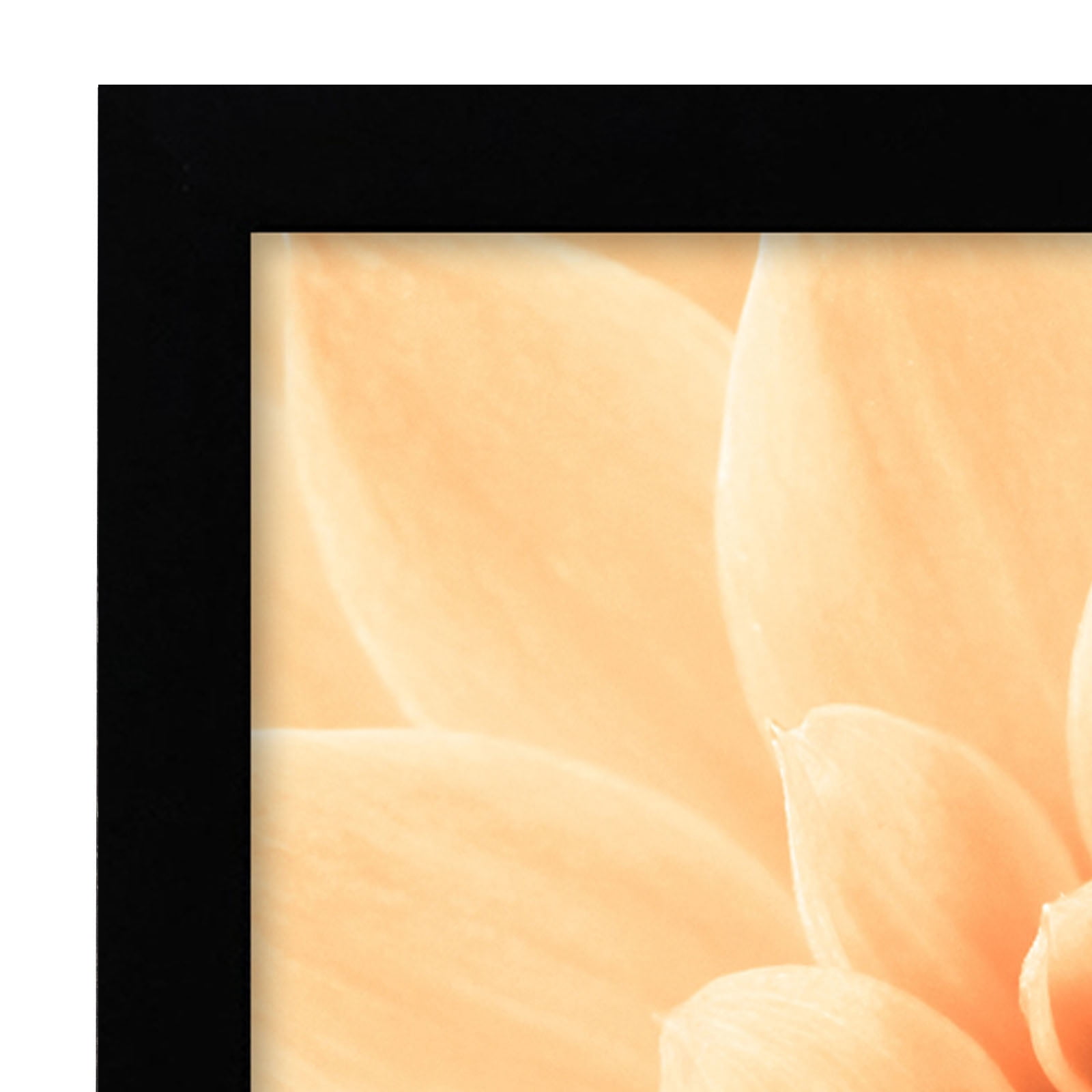 Americanflat 11.7x16.5 Poster Frame with Shatter-Resistant Glass 2 Pack horizontal vertical formats perfect - Black