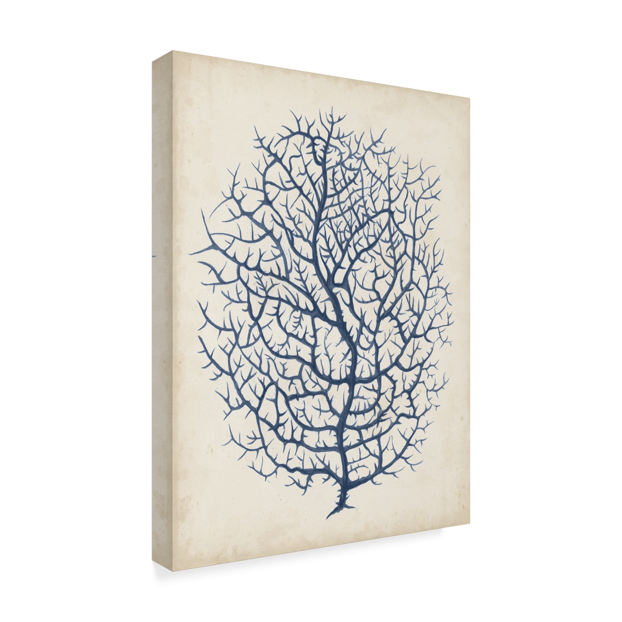 Trademark Fine Art 'Indigo Coral I' Canvas Art by Vision Studio