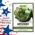 thumbnail image 6 of Green Globe Artichoke Seeds, 6 of 7