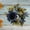 Blue, variant on 3-in-1 Holiday Candle Garland - Pumpkin & Sunflower Centerpiece for Halloween/Thanksgiving (LED-Compatible Decor)