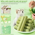 thumbnail image 6 of 100g Catnip Cat Grass Toys for Cat, Natural Dried for Cats, Edible Cat Chew Toys for Remove Hair Ball and Cleaning Teeth, 6 of 8