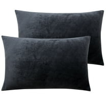 NT Bay Charcoal Gray Velvet Pillowcases, (2 Count)