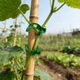 thumbnail image 4 of Support 100Pcs Reusable Garden For Climbing Adjustable Vine For Tomatoes Cucumbers Vines To Grow Garden Cl, 4 of 5
