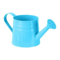 Gnwei 1 Gallon Watering Can for Plants, Watering Cans for Indoor&Outdoor Gardening, Galvanized Steel Watering Pot with Removable Spout, Metal Water Can with Ergonomic Movable Handle