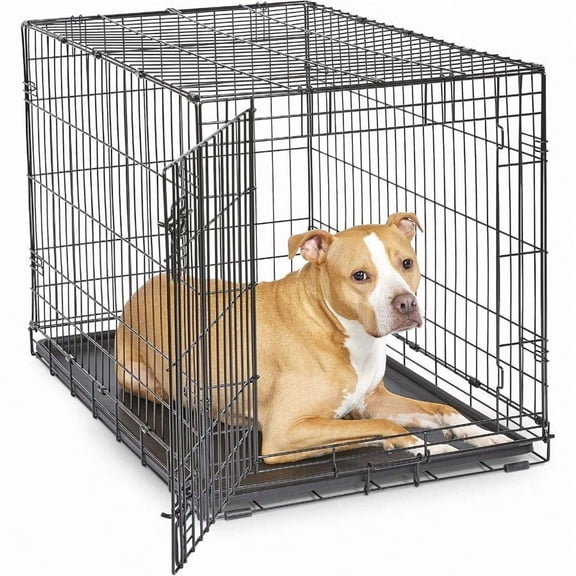 Single Door Folding Metal 36Inch Dog Crate Enhanced Security Includes LeakProof Pan Divider Panel For Medium To Large Sized Breeds