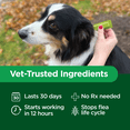 thumbnail image 2 of Activate II Flea and Tick Prevention for Dogs, 4 Count, Small Dogs 4-10 lbs, Topical Drops, 4 Months Flea Treatment, 2 of 6