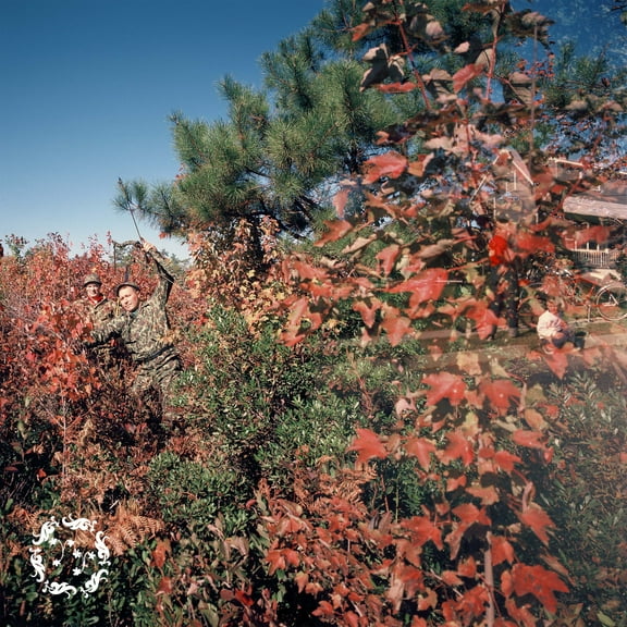 Ylayli - Separation - Music & Performance - CD