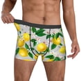 thumbnail image 2 of Kdxio Men's Boxer Briefs with Lemon1 Print - Comfortable and Breathable Underwear for Everyday Wear, 2 of 7