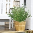 thumbnail image 4 of Artificial Outdoor Greenery Plants, UV Resistant No Fade Faux Plants for Front Porch Patio Garden, Bendable Stems, Indoor Outdoor Decorative Plastic Plants, E, 4 of 9