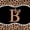 Black Brown B, variant on Manfei Leopard Print Bow Letter V Full Size Comforter Sets for Girls, Black Brown Initial Bedding Sets, Black Reversible, 3-Piece