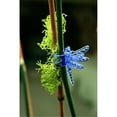 thumbnail image 2 of SuperMoss Dragonfly Orchid Training Clips, Assorted Colors, 16 Count, 2 of 2