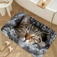 thumbnail image 3 of 1pc Sleeping Cat Absorbent Non-Slip Bathroom Thickened Flannel Rug Decor,Soft,Quick Drying,Suitable For Indoor/outdoor Use,Bathrooms,Bedrooms,Kitchens,Terrace,Laundry Rooms,16"x24", 3 of 9