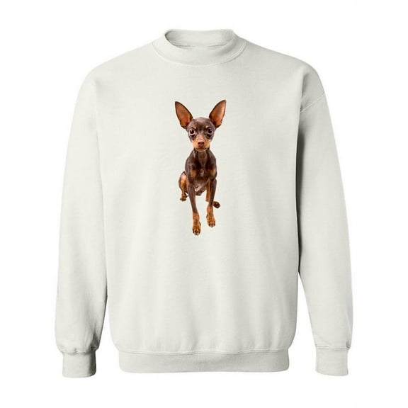 Russian Toy Terrier Puppy . Sweatshirt Women -Image by Shutterstock, Female Small