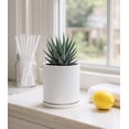thumbnail image 3 of Double-Layer Planter Set - Rotating  Cachepot with Clear Inner Liner for Root ,  for Indoor , 4.5", White, 73-U-A-1, 3 of 7