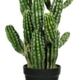 thumbnail image 2 of Vickerman FO190131 31 in. Green Potted Cactus Plastic Planter Pot, 2 of 5
