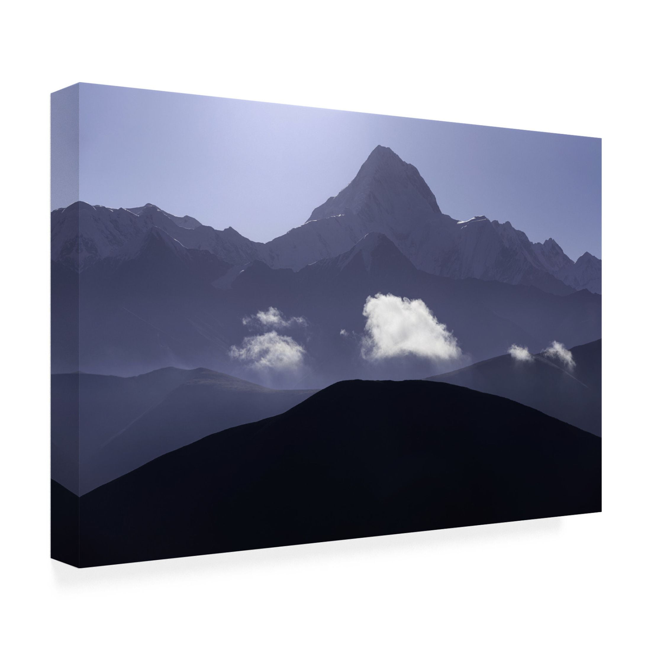 Trademark Fine Art Xiaopeng Guan eao Canvas Wall Art