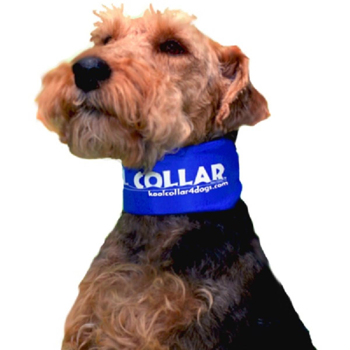Kool Collar for Dogs S 1117.5 Inches