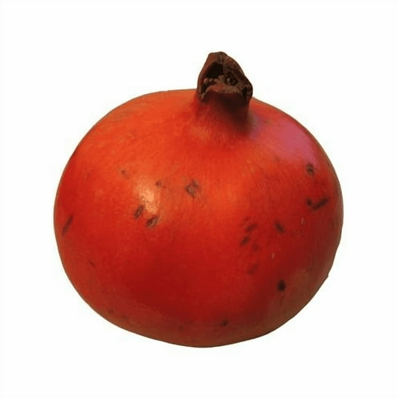 Pomegranate Great Garden Tree Seeds by Seed Kingdom 1 OZ Seeds