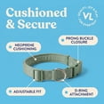 thumbnail image 5 of Vibrant Life Adjustable Neoprene Cushioned Dog Collar, Sage Green, S, 5 of 11
