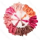 thumbnail image 4 of 10/20/30 globos de cumpleaños rosas de 5/10/12 pulgadas, globos de látex rosa claro con forma de maca y caramelo para cumpleaños, bodas, baby showers, 4 of 5
