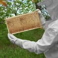 thumbnail image 6 of Honey Keeper Beehive 10 Frame Kit Super Box and 10 Deep Frames with Foundations for Langstroth Beekeeping, 6 of 7
