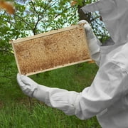 100% Beeswax Beehive 10 Frame Kit Super Box and 10 Deep Frames with Foundations for Langstroth Beekeeping