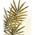 thumbnail image 2 of Kimberly, Allen 12x14 White Modern Wood Framed Museum Art Print Titled - Ferns 1, 2 of 4