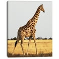 thumbnail image 2 of Girafe Unique en Afrique Marche - Impression sur Toile Africaine Extra Large, 2 of 3