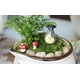 thumbnail image 3 of Casa De En Miniatura Kits De Accesorios - 40 X DIY Resina Artesanía Seta Roja Ornamento Estatuilla Terrario Bonsai De Verde amarillo CUTICAT Decoración de paisaje en miniatura, 3 of 8