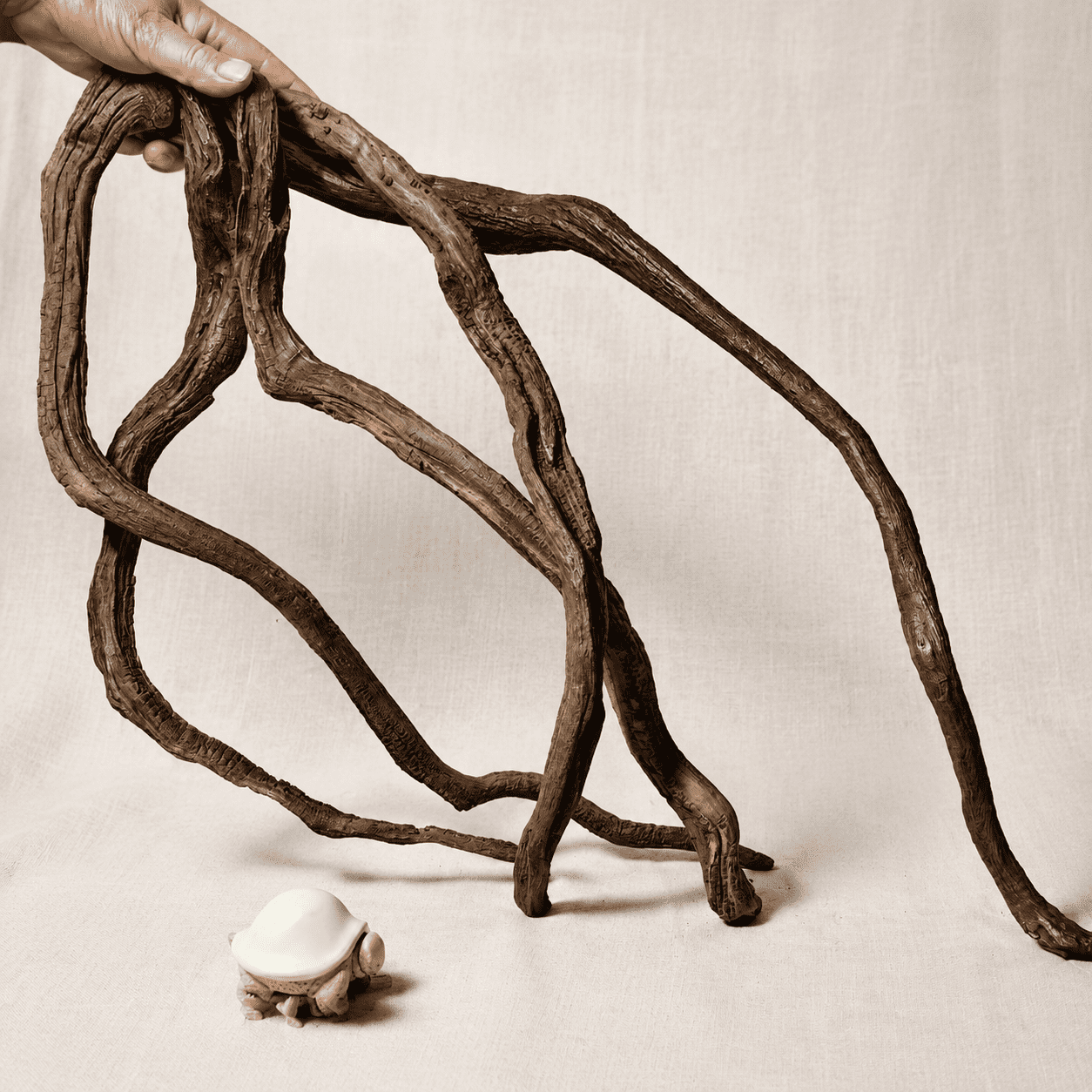 Aquarium Driftwood Branches, 2.2lb 9-14inch Long, For Aquascaping and Reptile Habitats