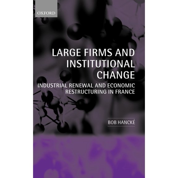 Large Firms and Institutional Change: Industrial Renewal and Economic Restructuring in France, (Hardcover)