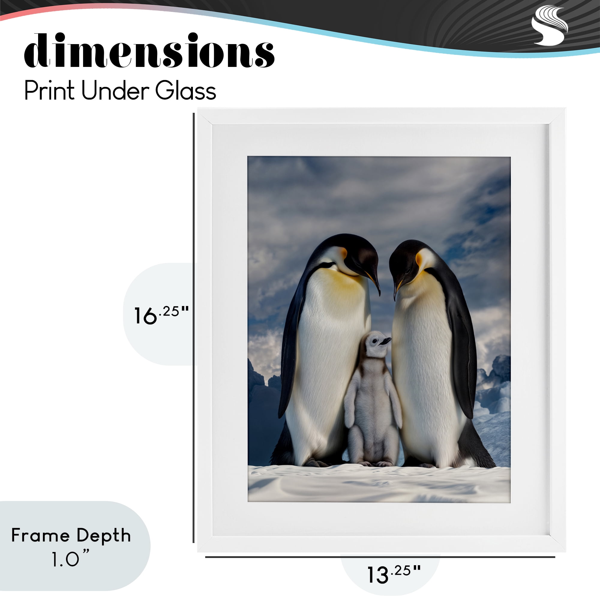 Stupell Industries Penguins In The Wild White Framed Print Under Glass, design by Scott Stulberg