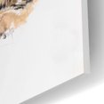 thumbnail image 3 of Epic Art 'Clouded Leopard with Ghost Image' by Barbara Keith, Acrylic Glass Wall Art, 12"x16", 3 of 8