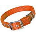 thumbnail image 2 of HAMILTON PET COMPANY DOUBLE THICK NYLON DOG COLLAR 1X20 IN MANGO, 2 of 3