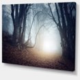 thumbnail image 2 of DESIGN ART Magical Trees in Mysterious Forest - Modern Forest Canvas Wall Art 40 in. wide x 30 in. high, 2 of 5
