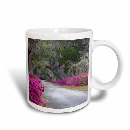 3dRose Georgia, Savannah, Bonaventure Cemetery drive - US11 JWL0375 - Joanne Wells, Ceramic Mug, 11-ounce