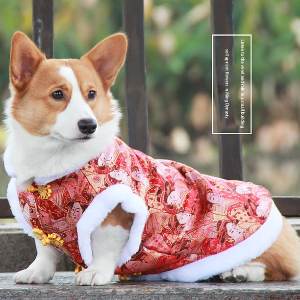 XWSHYW Ropa para Mascotas para Gatos Ropa de Año Nuevo Cocky Teddy Dog Tang Ropa Hebilla Engrosada Algodón para Mascotas