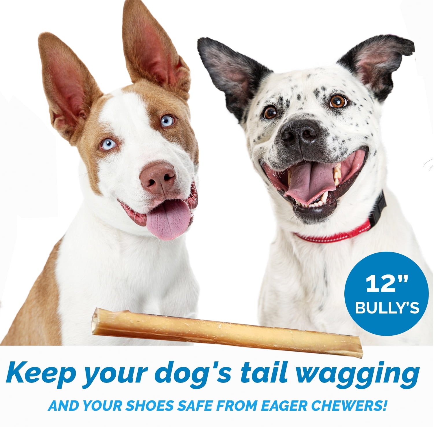 12 Inch Bully Stick for Dogs (1 Pound Bag) 100% Natural Bulk Chews for Dogs & Puppies - Grass-Fed Free-Range Premium Beef Dog Bully Sticks - Small, Medium and Large Dogs Dental by 123 Treats