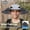 Dark gray + two fans, variant on Solar Dual Fan Sun Hat, USB Charging, Adjustable Strap, Cool & Breathable, High Air Volume, Long Battery Life, for Outdoor Activities. Option: No Fan or 1 Fan