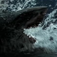 thumbnail image 4 of Itn - Land Shark [DIGITAL VIDEO DISC], 4 of 6