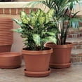 thumbnail image 2 of Bloem Terra Pot Planter 16 in. Terra Cotta, 2 of 9