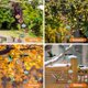 thumbnail image 4 of Life Charming Wind Chimes Comederos para pájaros para colgar al aire libre a prueba de hormigas y abejas, nunca gotea C, 4 of 5