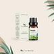 thumbnail image 2 of Aceites Esenciales Neroli UVa Natural 100% para Aromaterapia Conjunto de Difusores y Humidificadores, 2 of 6