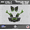 Green, variant on Kalair GFX Graphics Kit for Honda TRX 300EX MAIER PLASTICS (1993-2006) Revolt Series