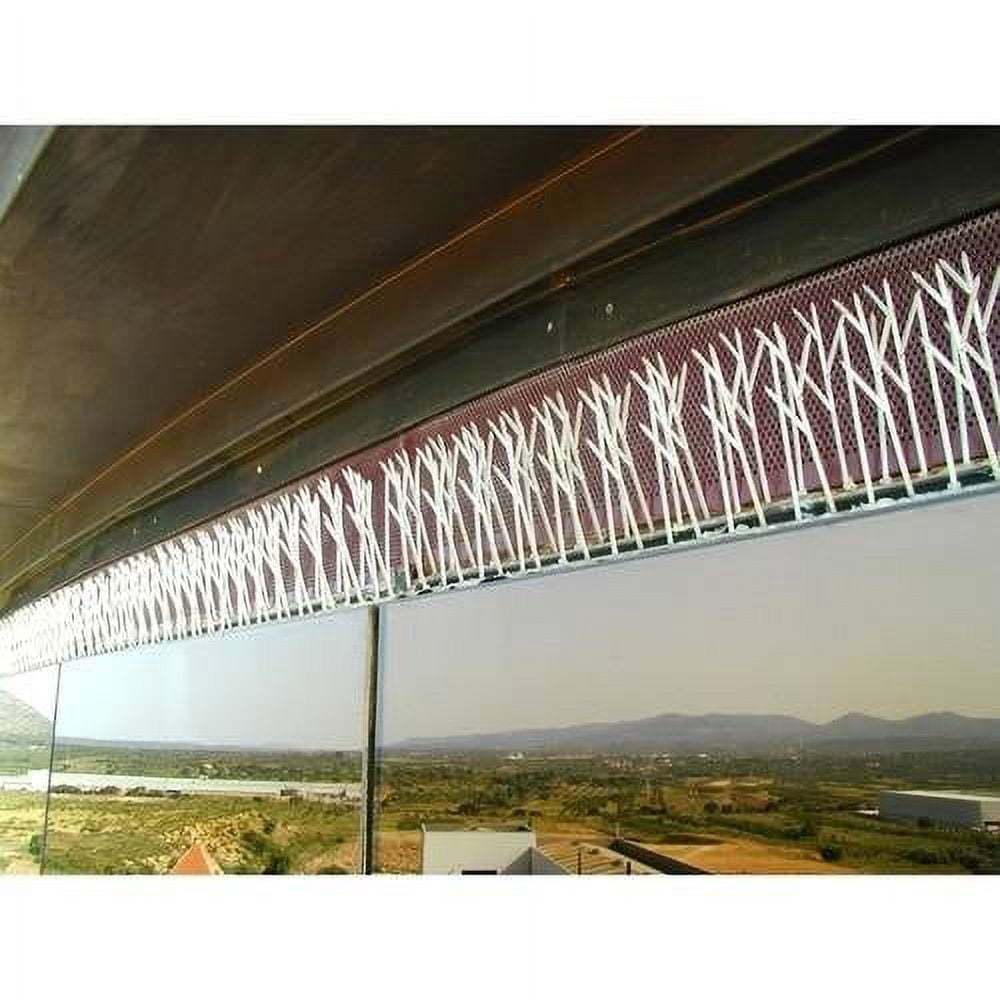 Bird-X Original Clear Plastic Bird Spikes Permanent Bird Repellent 100 Feet Pigeons Starlings Sparrows Seagulls