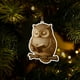 thumbnail image 4 of Colección de adornos para amantes de los libros | Adornos colgantes de animales de lectura acrílicos 2D | Decoración literaria de zorro, mapache y pájaro para árbol de Navidad | Regalo para lect, 4 of 4