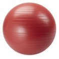 thumbnail image 4 of Reebok Delta 65 cm Medium Weighted Stability Ball, Pump Included, 4 of 7