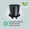 thumbnail image 4 of 16-Inch Pot Elevators for Plants (6-Pack), 4 of 6